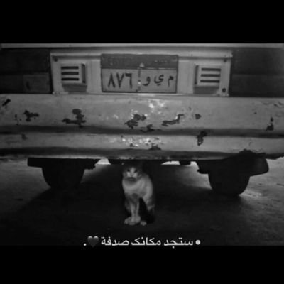 SF7BN12's profile picture. 