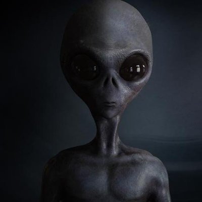 ucanananaz's profile picture. 