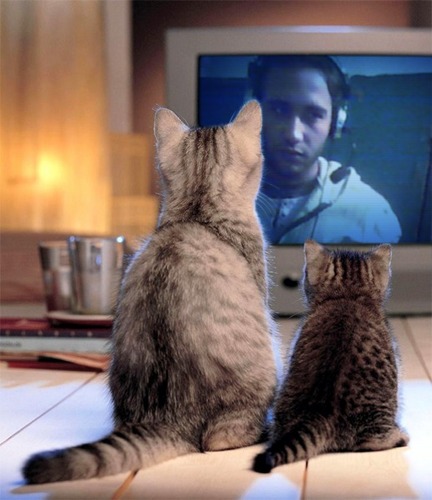 zekaalmasry's profile picture. أول ما عملت الحساب كان علشان أعبر بيه عن أحلامي لمصر بعد ثورة25 يناير العظيمة الي بأعتبرها مولدي 
الحقيقي ، دلوقتي الحساب يدوب بيعبر عن مرارتي المفقوعة!!