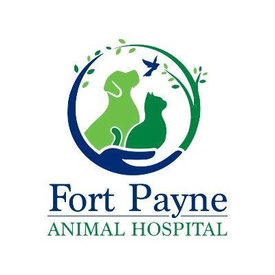 We are a state of the art animal hospital. We do all aspects of care and love orthopedics.