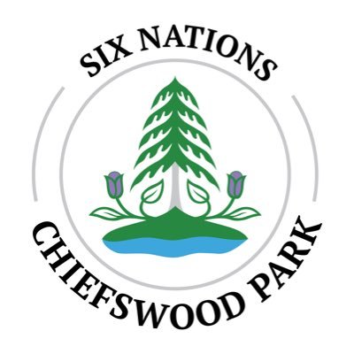 Chiefswood Park has a boat ramp, camping, playground, pavilion rentals, events, canoeing and kayaking rentals and programming. Cabins are ready to be rented!