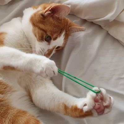 durenlopers's profile picture. Gtw isinya cuma gitu doang:(