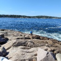 Susan Trudel Madison (@trusuzie) 's Twitter Profile