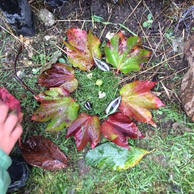 cheselbournevs's profile picture. Twitter feed from the children and staff of Cheselbourne Village School DT2 7NT