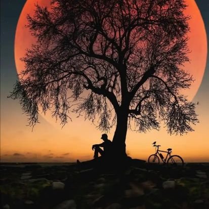 #عـيـش
#شـجـره👈 ،🌴}