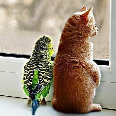 AHumihumi's profile picture. よろしく