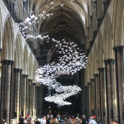 jonatha50515421's profile picture. This year sucks 😂😭😂😭😂