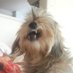 soy coco (@coconuto22) Twitter profile photo soy coco (@coconuto22) Twitter profile photo
