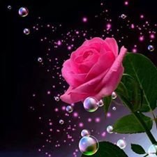 Leticia04827216's profile picture. 