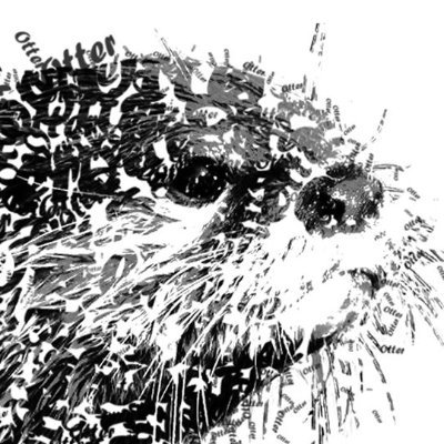 otter404's profile picture. Otter Wannabe | DFIR | Casual box rooter