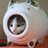 にゃふーのアイコン