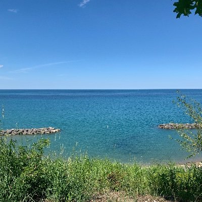 ashbasher7's profile picture. 