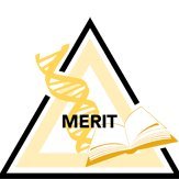 UABMERIT's profile picture. 