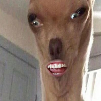 theghostofjoe's profile picture. i dont wanna touch sand paper