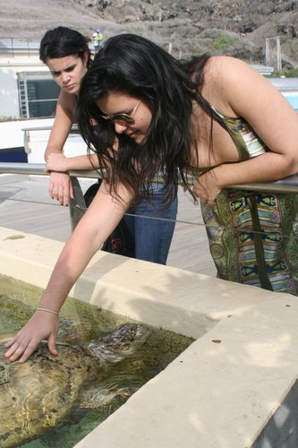 cecilesz's profile picture. 