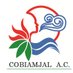 AC.COBIAMJAL (@cobiamjal) Twitter profile photo AC.COBIAMJAL (@cobiamjal) Twitter profile photo