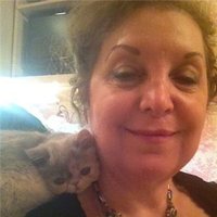 Stephanie Saible (@stephaniesaible) 's Twitter Profile