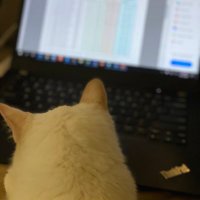 Jenice Tom (@jatkat45) 's Twitter Profile