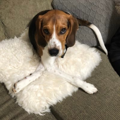 Ed Piotrowski Profile