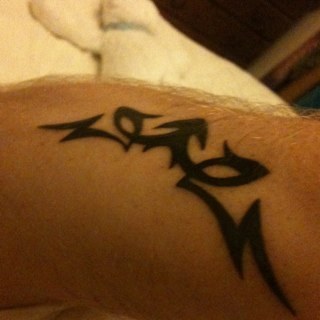 Trisalder's profile picture. Winner of the Hythe Herald Tristan of the Year Award 2010, Fully Qualified Wheelwright and nominated for Trousers of the Year in WTF Magazine annual BS Awards