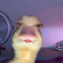 Faisal Alsaud - @alsaudfsm - Twitter