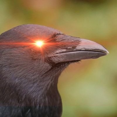 orion__04's profile picture. 