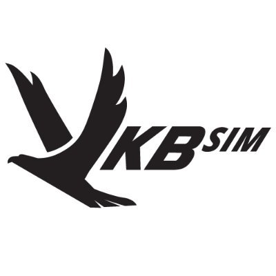 VKBsim