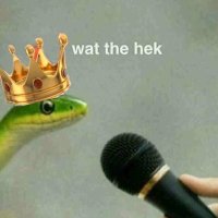 theesnek.bsky.social (@thee_snek) 's Twitter Profile Photo theesnek.bsky.social (@thee_snek) 's Twitter Profile Photo