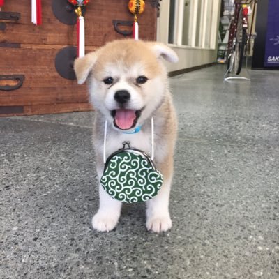 小林酒店 看板犬 の主な仕事をご紹介 お酒の配達