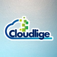 cloudlige's profile picture. Nuestra labor es ayudar a distintas empresas a redefinirse y crecer en un entorno donde los cambios tecnológicos, digitales, agilizan y optimizan sus procesos.