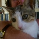 Alyssa Edge - @alyssa123edge - Twitter