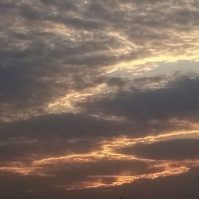 ابو محمد Profile