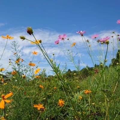 7nBmIX7sfmIL67v's profile picture. 