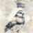 HarrietMagpie's avatar