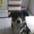Matias1974's profile image