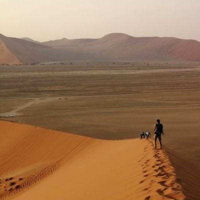 PaqueYoann's profile picture. 