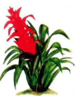 farmanaturales's profile picture. 