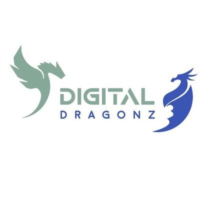DragonzDigital's profile picture. Web Solutions and Services Agency