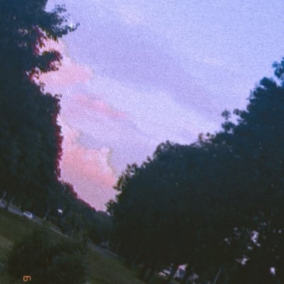 _laurenxo10's profile picture. 