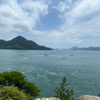 まいち (@maichi_torihiki) 's Twitter Profile Photo