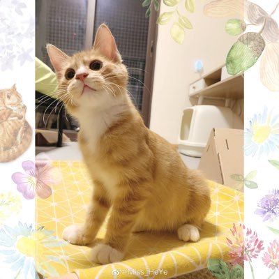 ikikzr's profile picture. 