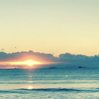 yabu04216298's profile picture. 