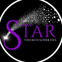 Star Thoroughbreds(@StarTbreds) 's Twitter Profile Photo