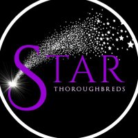 Star Thoroughbreds (@startbreds) 's Twitter Profile Photo Star Thoroughbreds (@startbreds) 's Twitter Profile Photo