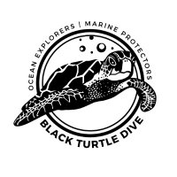 Black Turtle Dive(@blackturtledive) 's Twitter Profile Photo