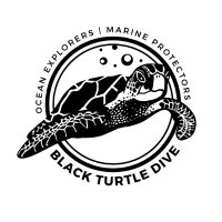 Black Turtle Dive (@blackturtledive) 's Twitter Profile Photo Black Turtle Dive (@blackturtledive) 's Twitter Profile Photo