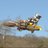 His956Facility's profile image