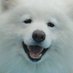 itsmyrice (@asbestoslv1) Twitter profile photo itsmyrice (@asbestoslv1) Twitter profile photo