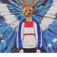 杨云丶 (@yangyun__) 's Twitter Profile
