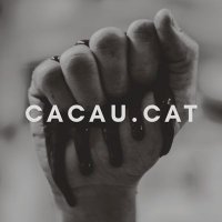 cacau.cat (@cacaupuntcat) 's Twitter Profile